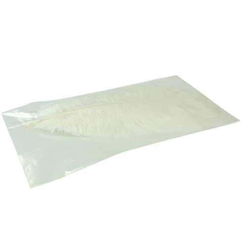Article Plumes d&#39;autruche Décoration Exotique Plumes Blanches 32-35cm 4 pcs