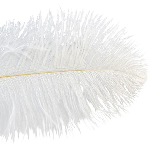 Article Plumes d&#39;autruche Décoration Exotique Plumes Blanches 32-35cm 4 pcs