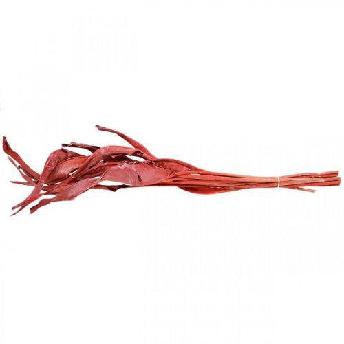 Floristik24 Feuilles de Strelitzia rouge givrées fleuries sèches 45-80cm 10 pièces