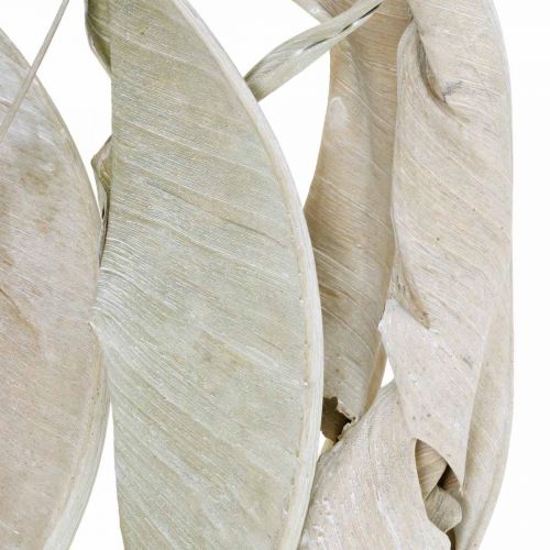 Article Feuilles de Strelitzia blanchies séchées 45-80cm 10p