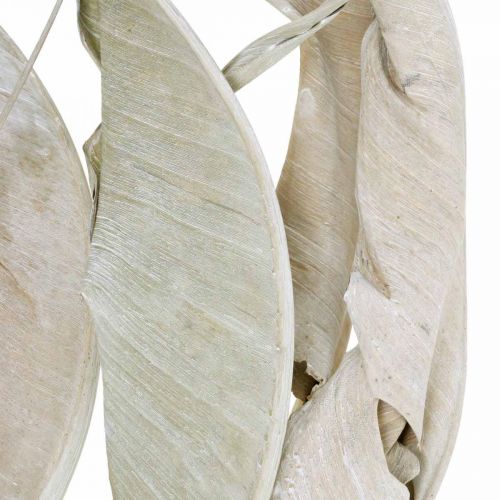 Floristik24 Feuilles de Strelitzia lavées à blanc séchées 45-80cm 10 pcs