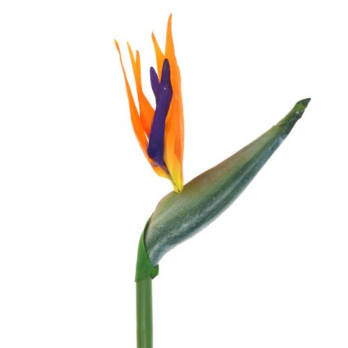 Floristik24 Strelitzia oiseau du paradis fleur artificiellement 98cm