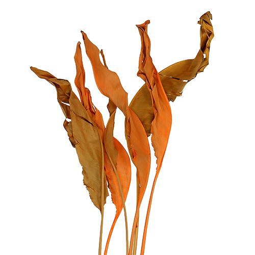Floristik24 Feuilles de Strelitzia orange 120cm 20 pcs