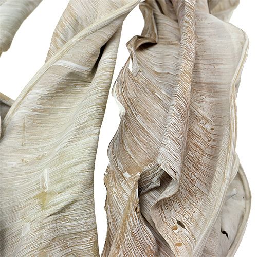 Article Feuilles décoratives Feuilles de Strelitzia lavées blanc 120cm 10pcs