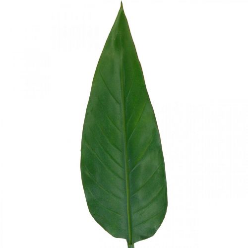Floristik24 Strelitzia Perroquet Fleur Feuille Décorative Strelitzia Feuille Vert L81cm