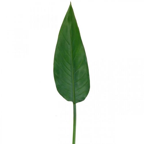 Floristik24 Strelitzia Perroquet Fleur Feuille Décorative Strelitzia Feuille Vert L81cm