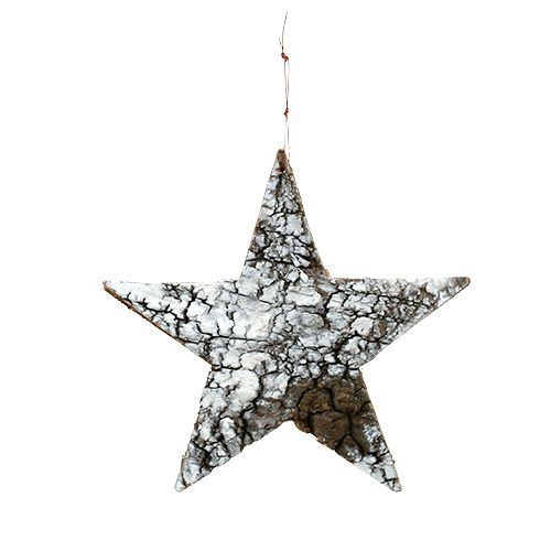 Étoile d&#39;écorce de bouleau grand blanc 19cm 4pcs