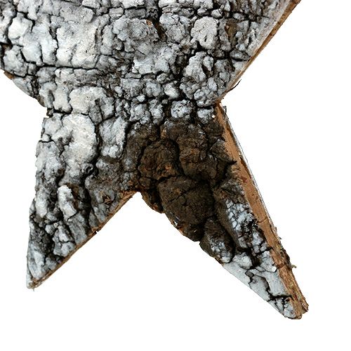 Floristik24 Étoile d&#39;écorce de bouleau grand blanc 19cm 4pcs