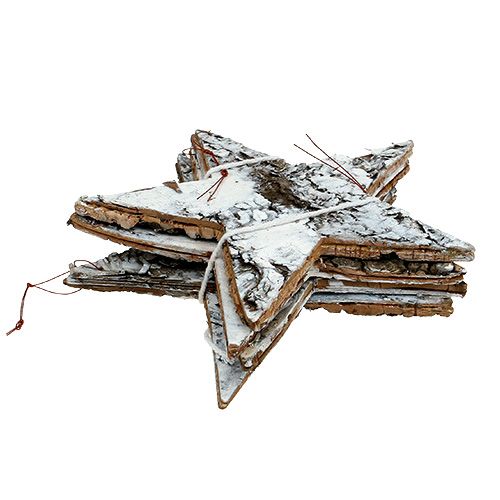 Floristik24 Étoile d&#39;écorce de bouleau grand blanc 19cm 4pcs