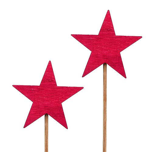 Floristik24 Star Fuchsia en tant que prise 7cm 12pcs