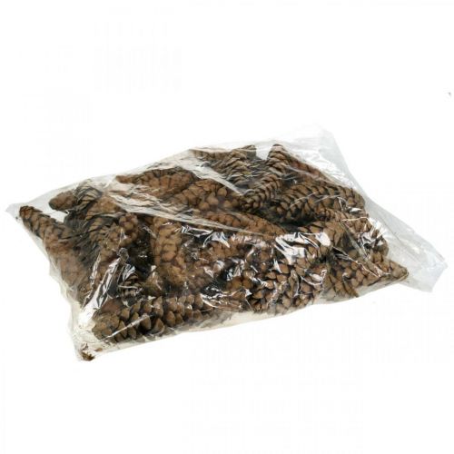 Article Pommes de pin Pin blanc Strobus Naturel Mixte 2,5kg
