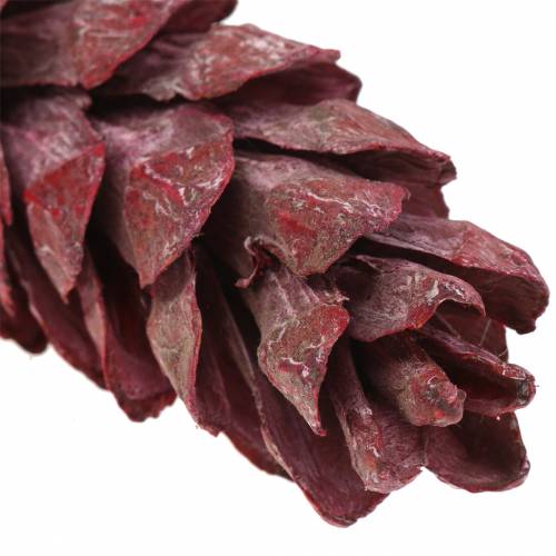 Article Cônes Strobus décoration naturelle rouge 15cm - 20cm 50pcs