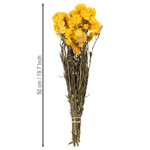 Article Bouquet de fleurs séchées d'immortelle jaune (Helichrysum), 100 g