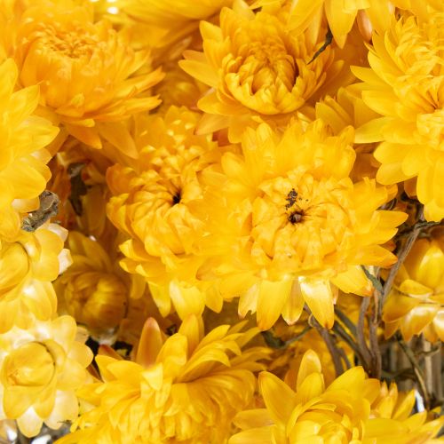 Article Bouquet de fleurs séchées d'immortelle jaune (Helichrysum), 100 g