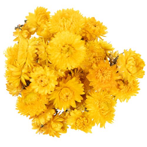 Article Bouquet de fleurs séchées d'immortelle jaune (Helichrysum), 100 g