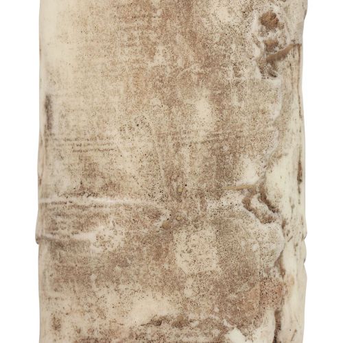 Floristik24 Bougie pilier en écorce d&#39;arbre, décor de bouleau, crème 140/80mm