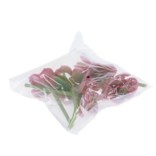 Article Succulente Ø5cm Rose 6 pcs