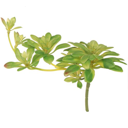 Plante artificielle succulente avec pic Aeonium Vert 30cm 4 pcs