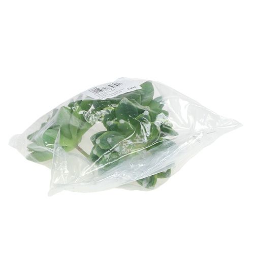 Article Pierre succulente rose vert Ø10cm H11cm 3 pcs