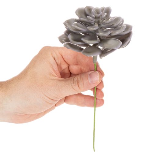 Fleurs artificielles succulentes en cire, décoration de 10 cm, lot de 6 | Floristik24.be