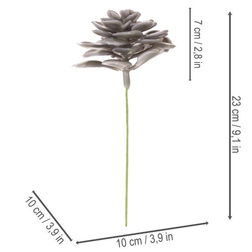 Fleurs artificielles succulentes en cire, décoration de 10 cm, lot de 6 | Floristik24.be