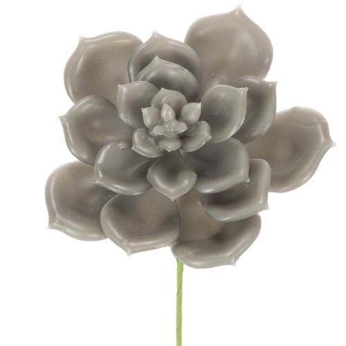 Plantes artificielles succulentes en cire avec fil de fer, 8 cm, lot de 8 acheter | Floristik24.be