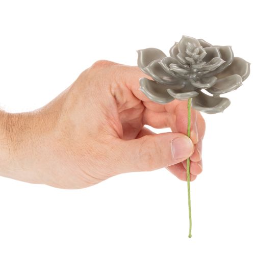 Plantes artificielles succulentes en cire avec fil de fer, 8 cm, lot de 8 | Floristik24.be