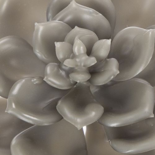 Plantes artificielles succulentes en cire avec fil de fer, 8 cm, lot de 8 | Floristik24.be