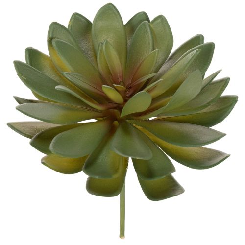Plante grasse artificielle décorative, verte, 18 cm, lot de 3