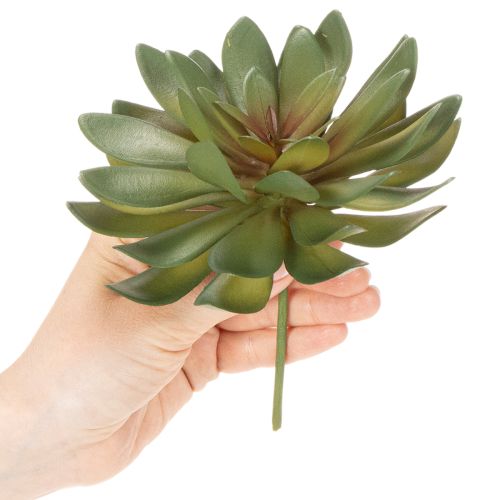 Plante grasse artificielle décorative, verte, 18 cm, lot de 3 | Floristik24.be