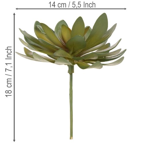Plante grasse artificielle décorative, verte, 18 cm, lot de 3 | Floristik24.be