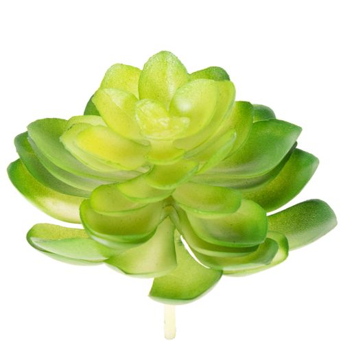 Article Plante grasse artificielle verte, pour décoration dans un bol ou un vase, 10 cm, lot de 4