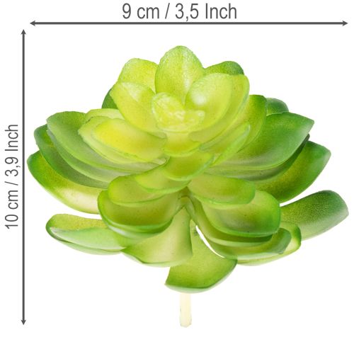 Article Plante grasse artificielle verte, pour décoration dans un bol ou un vase, 10 cm, lot de 4