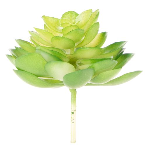 Plante grasse artificielle verte, pour décoration dans un bol ou un vase, 10 cm, lot de 4 | Floristik24.be