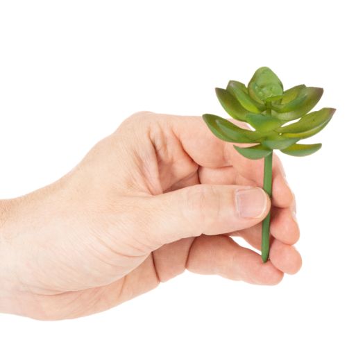 Plante grasse artificielle verte comme décoration pour des compositions créatives | Floristik24.be