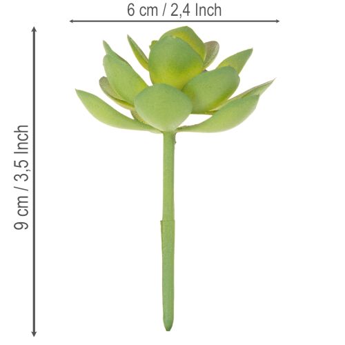 Plante grasse artificielle verte comme décoration pour des compositions créatives | Floristik24.be