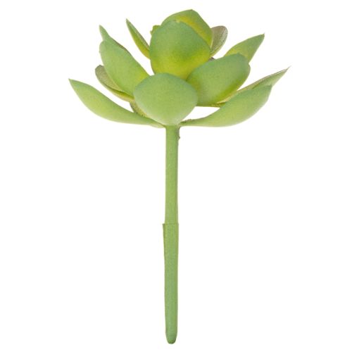 Plante grasse artificielle verte comme décoration pour des compositions créatives | Floristik24.be