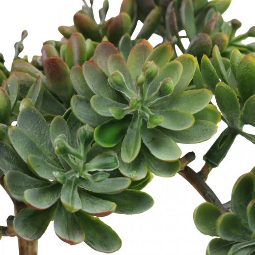 Floristik24 Succulente artificielle à coller verte, rouge 12cm