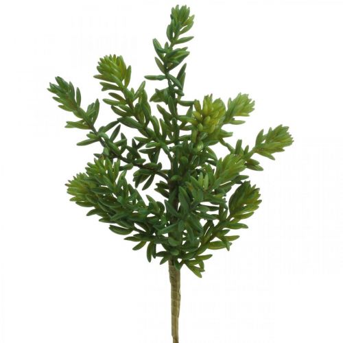 Floristik24 Plante verte artificielle succulente à coller 25cm vert 2pcs