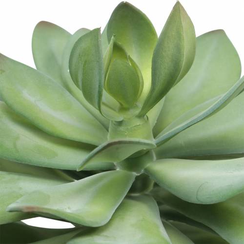 Floristik24 Plante succulente décorative verte artificielle Ø30cm H27cm