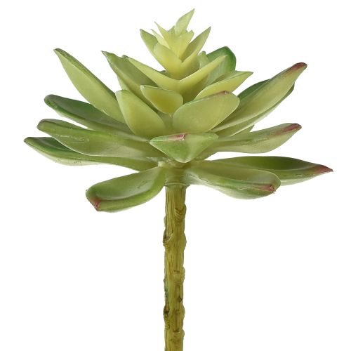 Article Plantes succulentes artificielles Plantes artificielles Vert Ø10cm 4 pcs