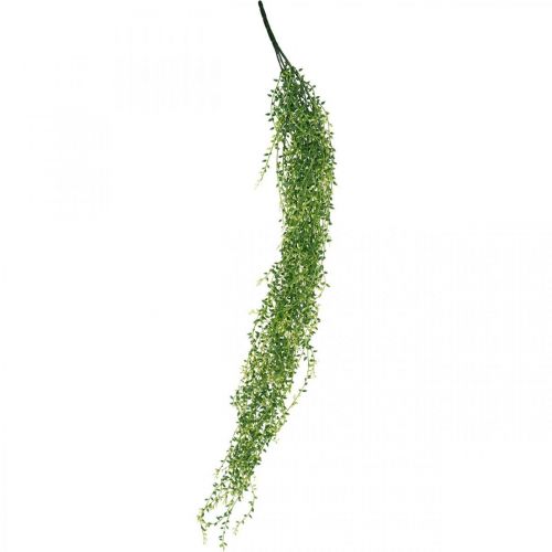 Floristik24 Plante succulente suspendue artificielle verte 96cm