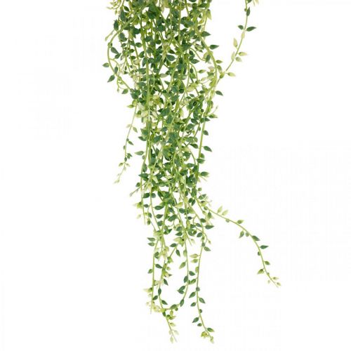 Floristik24 Plante succulente suspendue artificielle verte 96cm