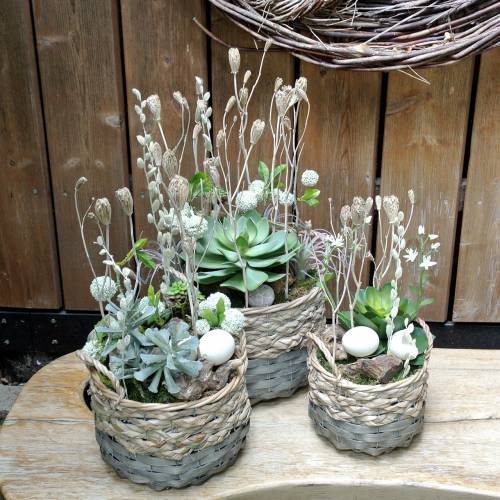 Article Succulente artificielle verte 27cm