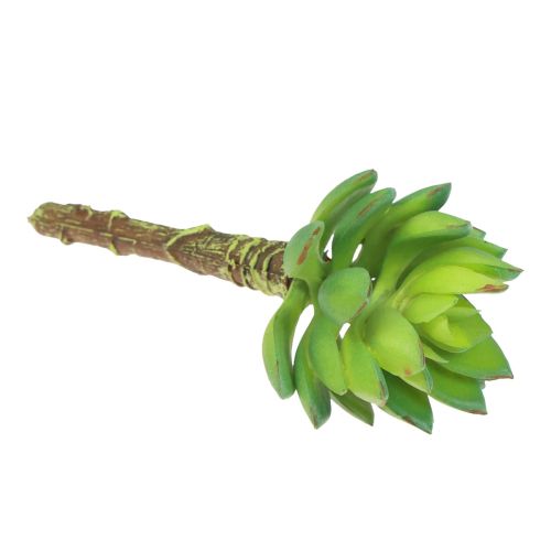 Article Plante Verte Artificielle Succulente Echeveria Vert Ø5,5cm 12,5cm