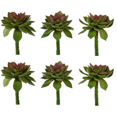 Article Succulente Pierre Rose 6cm Vert 6 Pièces