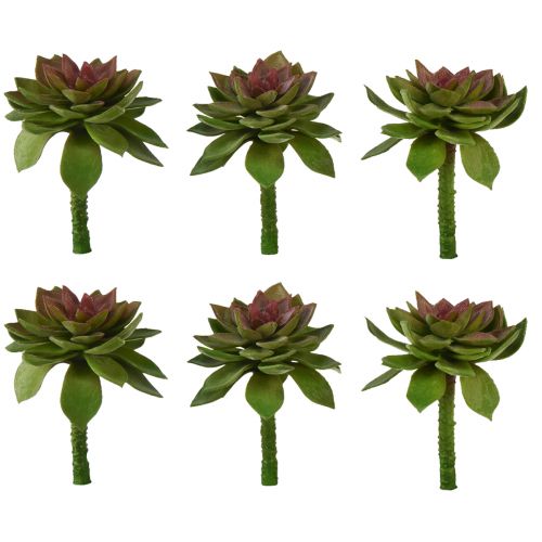 Article Plante succulente rose en pierre 6cm vert 6pcs