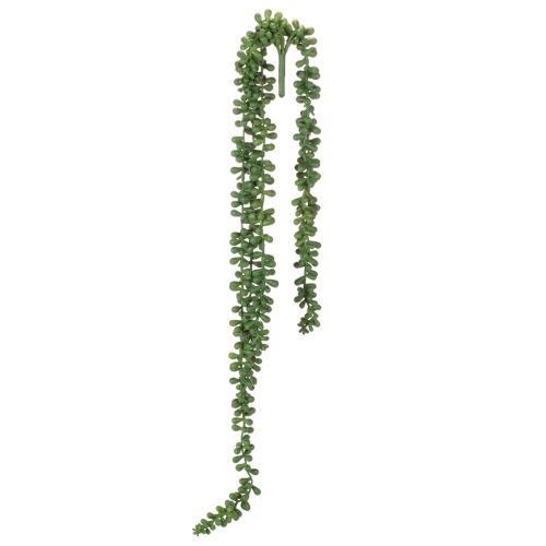 Guirlande de plantes artificielles suspendues, décoration succulente pour salon