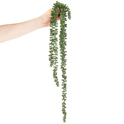 Guirlande de plantes artificielles suspendues, décoration succulente pour salon | Floristik24.be