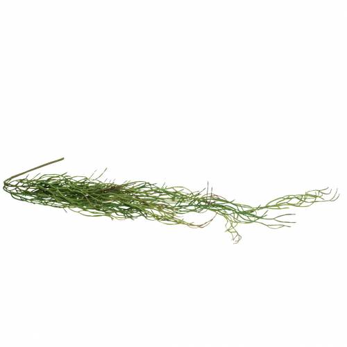Floristik24 Succulente artificielle à suspendre verte 110cm